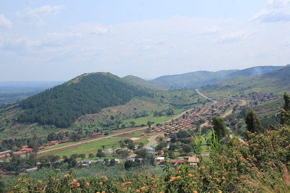 Town view